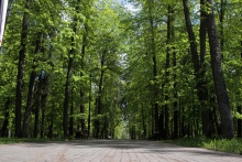 Парк им. Зернова - 04.jpg